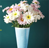 Giáo án Sinh hoạt dưới cờ lớp 6 chủ đề: Tôn sư trọng đạo tuần 10