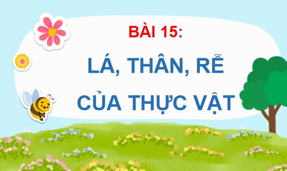 Powerpoint Tự nhiên xã hội lớp 3 Chân trời sáng tạo Học kì 2