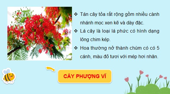 Powerpoint Tự nhiên xã hội lớp 3 Chân trời sáng tạo Học kì 2