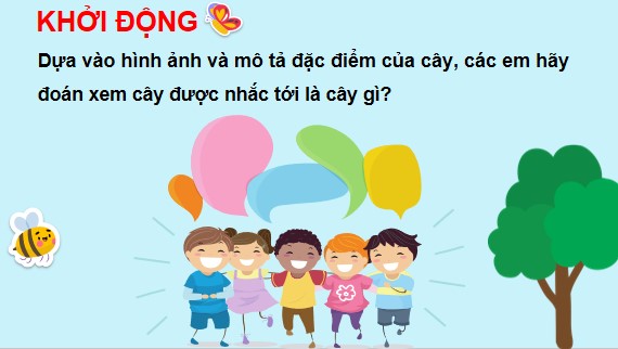 Powerpoint Tự nhiên xã hội lớp 3 Chân trời sáng tạo Học kì 2