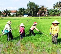 Giáo án Sinh hoạt dưới cờ lớp 6 chủ đề: Mừng Đảng mừng xuân tuần 20