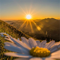 PowerPoint Tiếng Việt 4 Bài 4: Trong ánh bình minh kết hợp AI