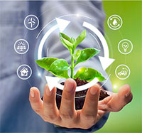 Giáo án Sinh hoạt dưới cờ lớp 6 chủ đề: Phát triển bền vững tuần 31