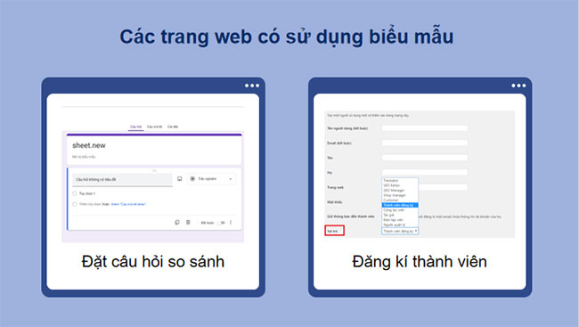 Biểu mẫu trên trang web