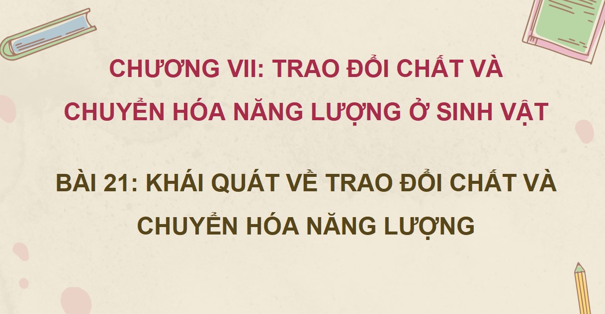 Giáo án PPT Sinh học 7 Kết nối tri thức cả năm học