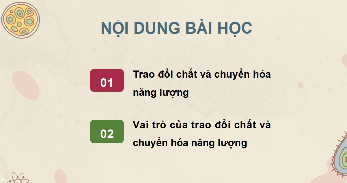 Giáo án PPT Sinh học 7 Kết nối tri thức cả năm học