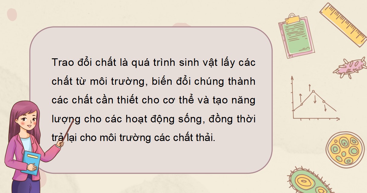 Giáo án PPT Sinh học 7 Kết nối tri thức cả năm học