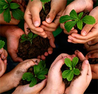 Giáo án Sinh hoạt dưới cờ lớp 3 chủ đề: Làm bạn với thiên nhiên tuần 29