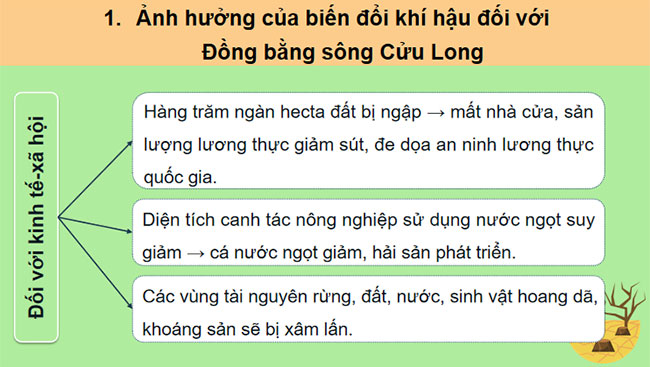 Thực hành Tìm hiểu ảnh hưởng của biến đổi khí hậu đối với Đồng bằng sông Cửu Long và các giải pháp ứng phó