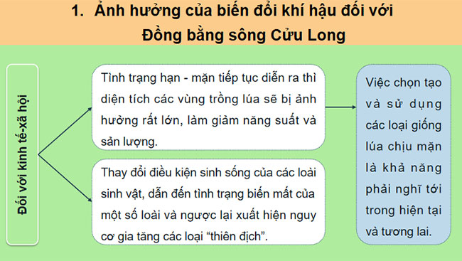 Thực hành Tìm hiểu ảnh hưởng của biến đổi khí hậu đối với Đồng bằng sông Cửu Long và các giải pháp ứng phó