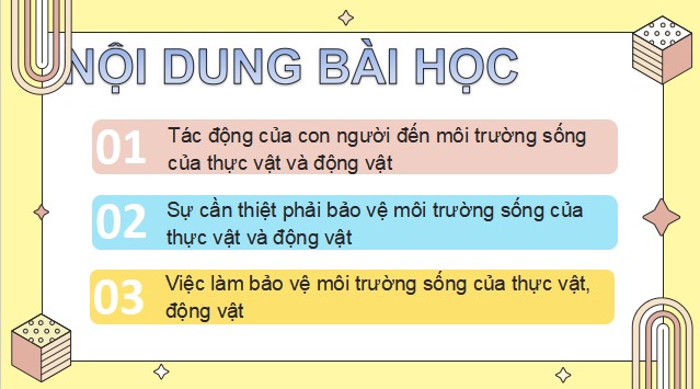 Giáo án powerpoint Tự nhiên và Xã hội lớp 2 sách Chân trời sáng tạo Học kì 2.