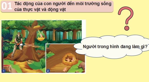 Giáo án powerpoint Tự nhiên và Xã hội lớp 2 sách Chân trời sáng tạo Học kì 2.