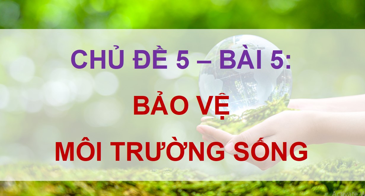 Giáo án PowerPoint Đạo đức 5 Kết nối tri thức Bài 5