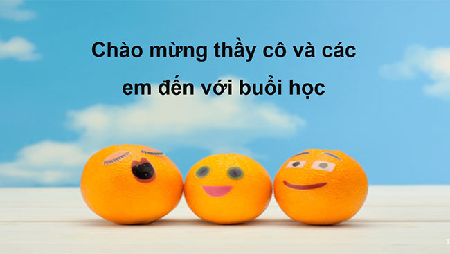 ppt hdtn 6 canh dieu hoc ki 2 1*462776