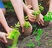 Giáo án Sinh hoạt dưới cờ lớp 2 chủ đề: Em yêu lao động tuần 9