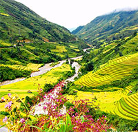 Giáo án Sinh hoạt dưới cờ lớp 6 chủ đề: Nét đẹp mùa xuân tuần 17