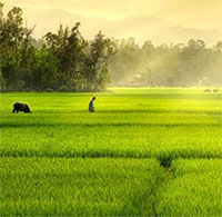 Giáo án Sinh hoạt dưới cờ lớp 6 chủ đề: Nét đẹp mùa xuân tuần 18