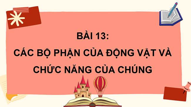 powerpoint tu nhien va xa hoi 3 canh dieu hoc ki 2 4*464125