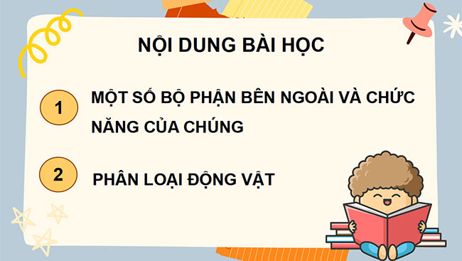 powerpoint tu nhien va xa hoi 3 canh dieu hoc ki 2 5*464127