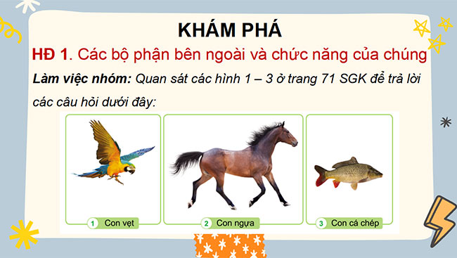powerpoint tu nhien va xa hoi 3 canh dieu hoc ki 2 6*464129