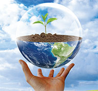 Giáo án Sinh hoạt dưới cờ lớp 6 chủ đề: Cuộc sống quanh ta tuần 25