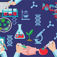 Giáo án Sinh học 6 sách Kết nối tri thức với cuộc sống (Cả năm)