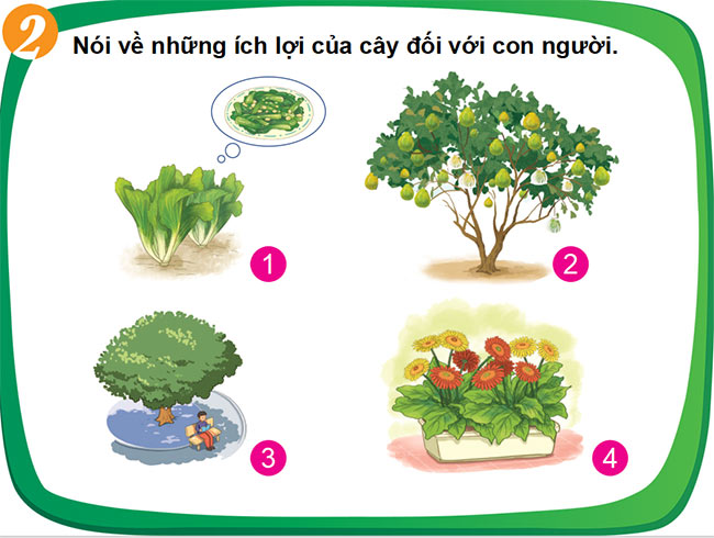 powerpoint tu nhien xa hoi 1 cung hoc hoc ki 2 5*464423