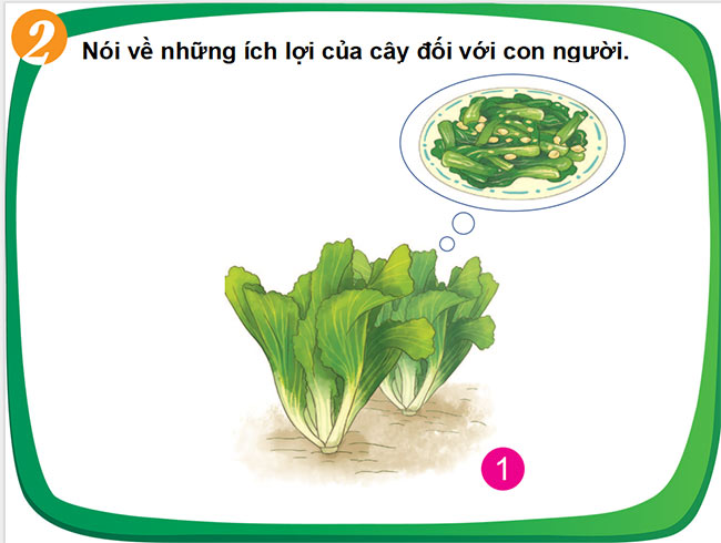 powerpoint tu nhien xa hoi 1 cung hoc hoc ki 2 6*464424