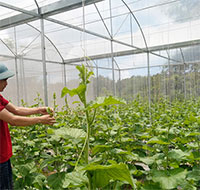 Giáo án Sinh hoạt dưới cờ lớp 7 chủ đề: Con đường tương lai tuần 30