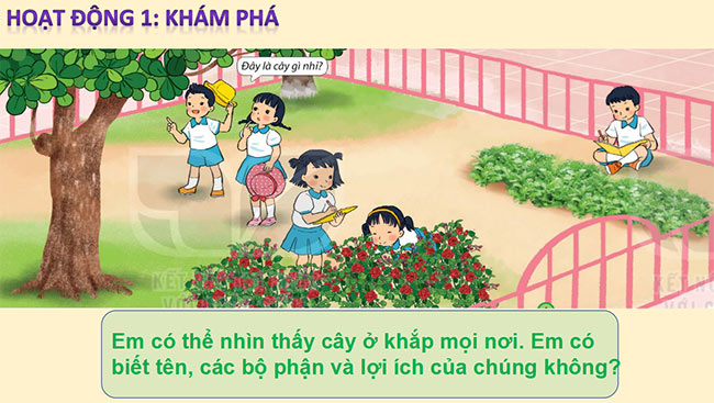 powerpoint tu nhien xa hoi 1 ket noi tri thuc hk2 3*464900