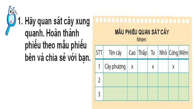 powerpoint tu nhien xa hoi 1 ket noi tri thuc hk2 4*464896