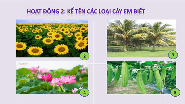 powerpoint tu nhien xa hoi 1 ket noi tri thuc hk2 5*464897
