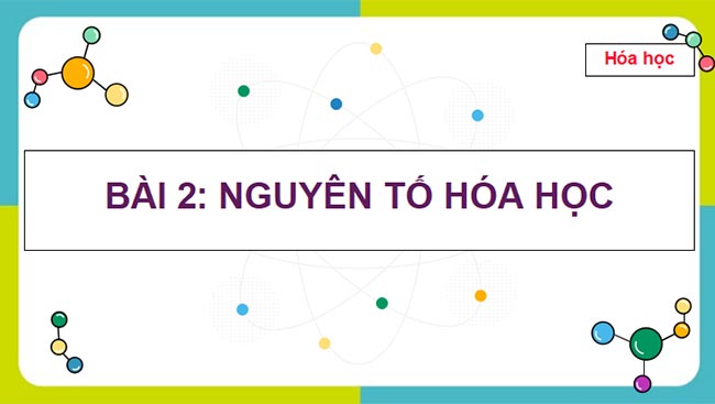 Hoa 10 HK1 1*465343
