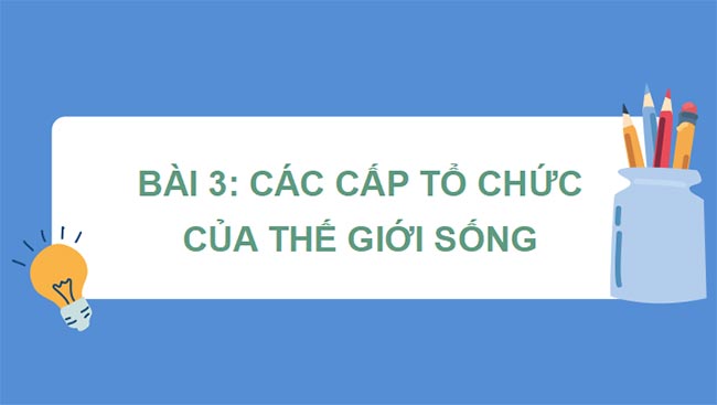 Sinh 10 KNTT HK1 1*465325