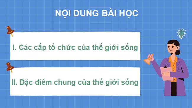 Sinh 10 KNTT HK1 2*465330