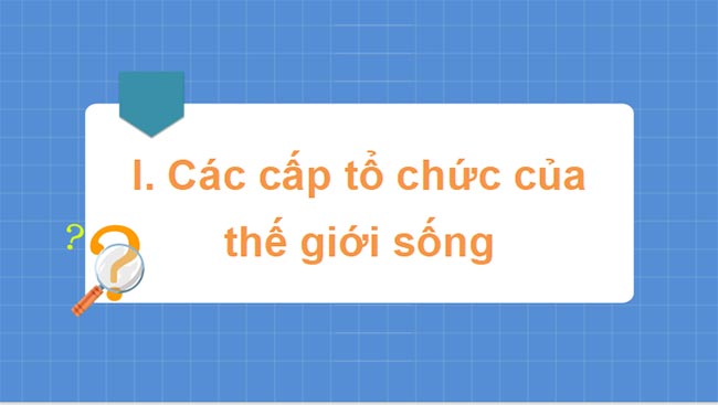 Sinh 10 KNTT HK1 3*465326