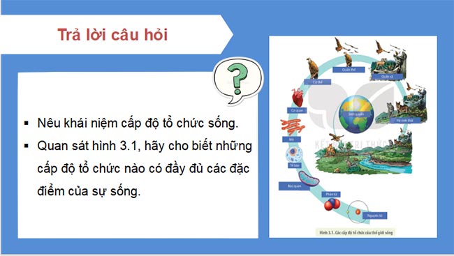 Sinh 10 KNTT HK1 4*465329