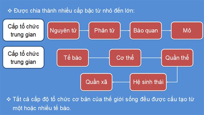 Sinh 10 KNTT HK1 6*465328