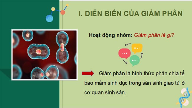 Sinh 10 KNTT HK2 3*465322