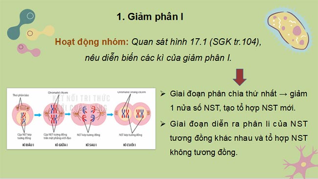 Sinh 10 KNTT HK2 4*465320