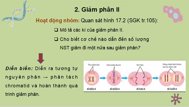 Sinh 10 KNTT HK2 5*465324