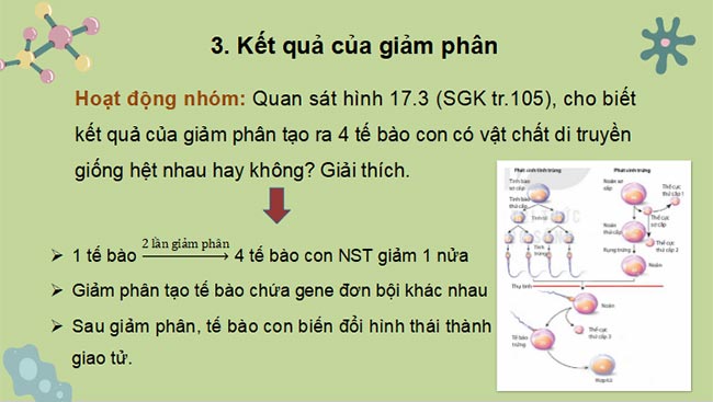 Sinh 10 KNTT HK2 6*465323