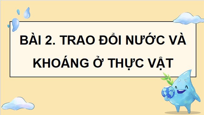 Sinh 11 KNTT HK1 1*465436
