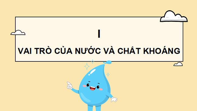 Sinh 11 KNTT HK1 3*465438