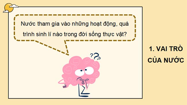 Sinh 11 KNTT HK1 4*465440