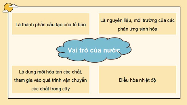 Sinh 11 KNTT HK1 5*465437