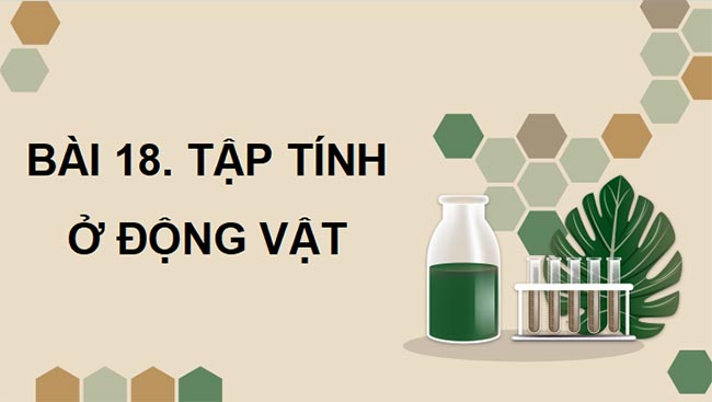 Sinh 11 KNTT HK2 1*465442