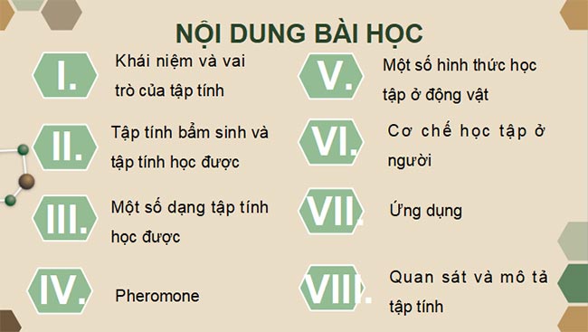 Sinh 11 KNTT HK2 2*465444