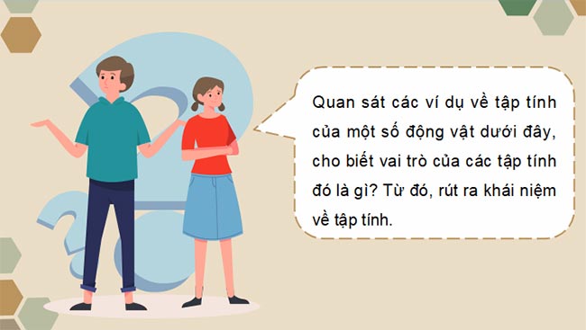 Sinh 11 KNTT HK2 4*465445