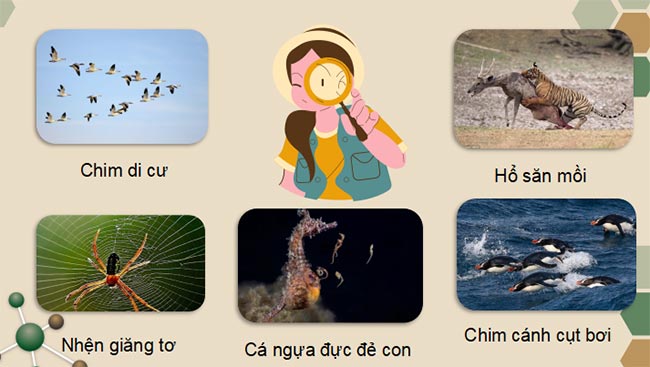 Sinh 11 KNTT HK2 5*465446